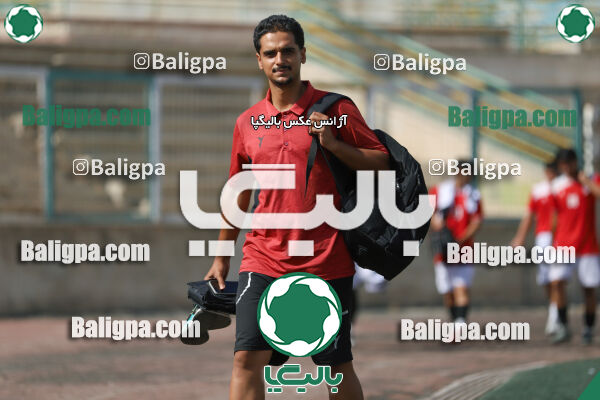 سفیر 1–3 شاهین