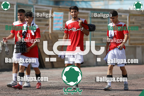 سفیر 1–3 شاهین