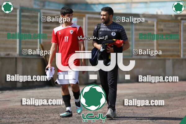 سفیر 1–3 شاهین