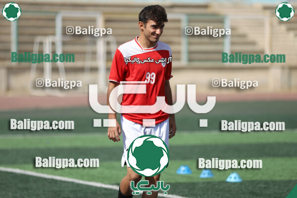سفیر 1–3 شاهین
