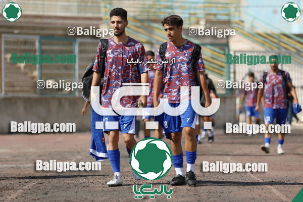 سفیر 1–3 شاهین
