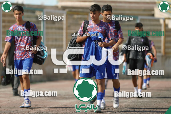 سفیر 1–3 شاهین