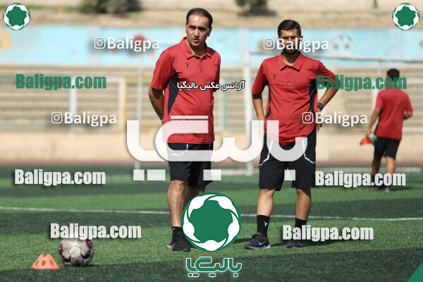 سفیر 1–3 شاهین