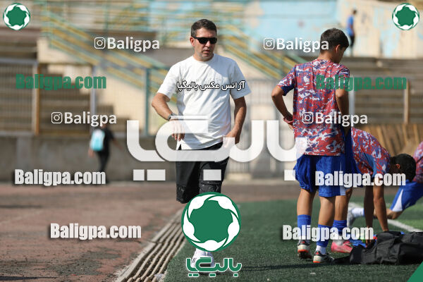 سفیر 1–3 شاهین