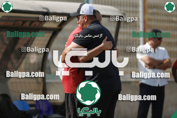 سفیر 1–3 شاهین