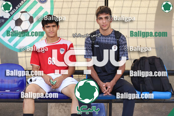 سفیر 1–3 شاهین