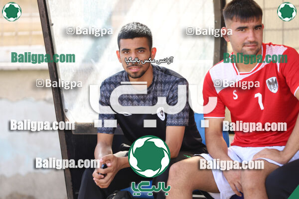 سفیر 1–3 شاهین
