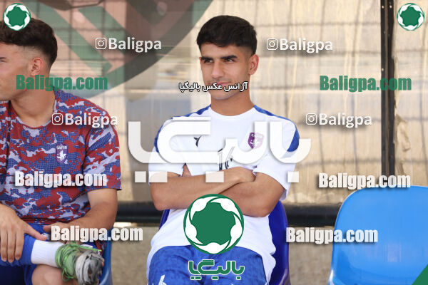 سفیر 1–3 شاهین