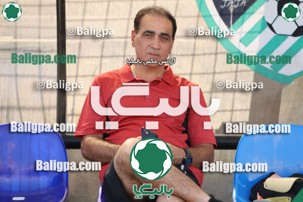 سفیر 1–3 شاهین