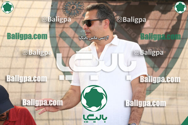 سفیر 1–3 شاهین