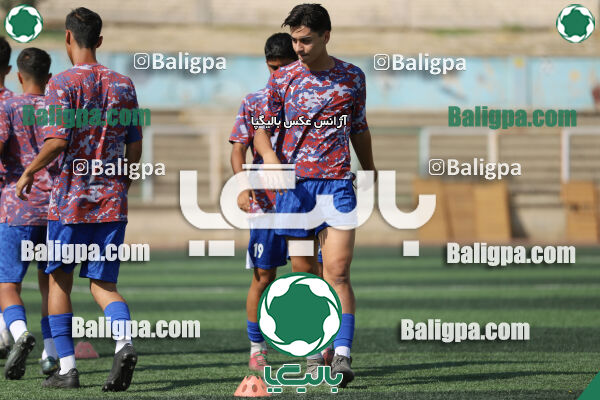 سفیر 1–3 شاهین