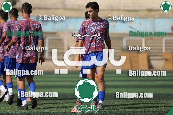 سفیر 1–3 شاهین