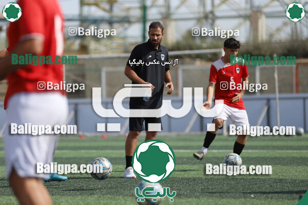 سفیر 1–3 شاهین