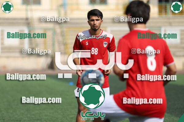 سفیر 1–3 شاهین