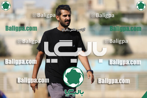 سفیر 1–3 شاهین