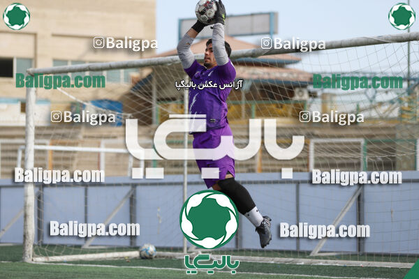 سفیر 1–3 شاهین