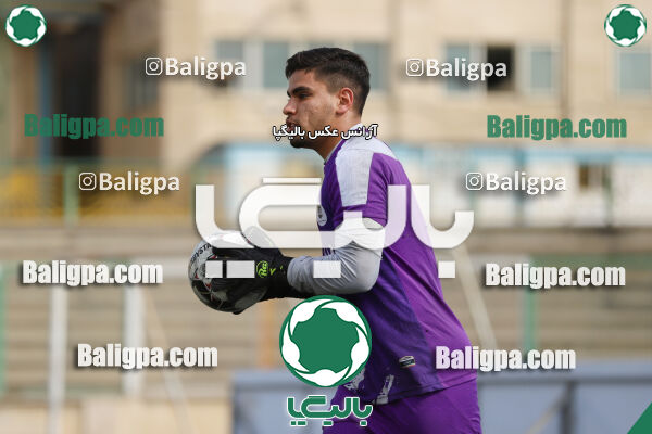 سفیر 1–3 شاهین