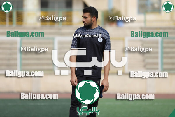 سفیر 1–3 شاهین