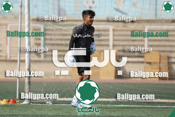 سفیر 1–3 شاهین