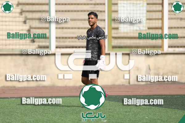 سفیر 1–3 شاهین