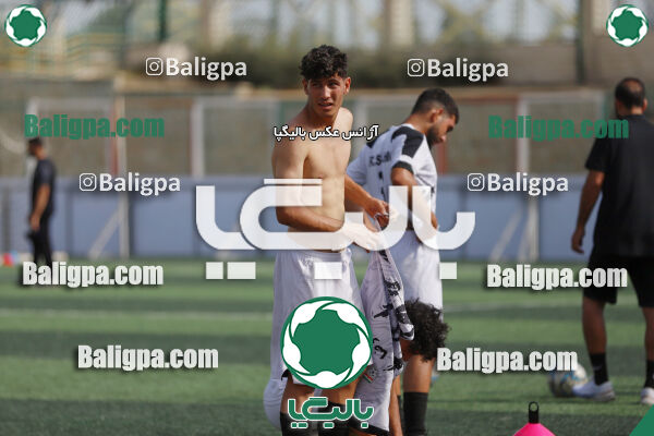 سفیر 1–3 شاهین