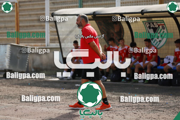 سفیر 1–3 شاهین