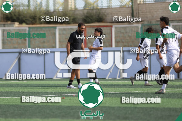 سفیر 1–3 شاهین