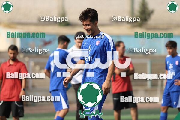 سفیر 1–3 شاهین