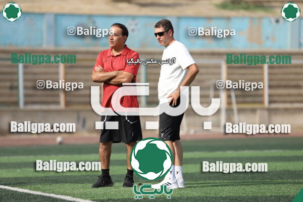 سفیر 1–3 شاهین