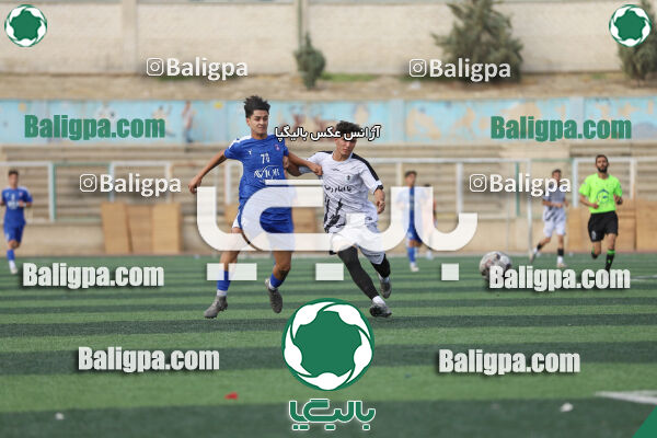سفیر 1–3 شاهین