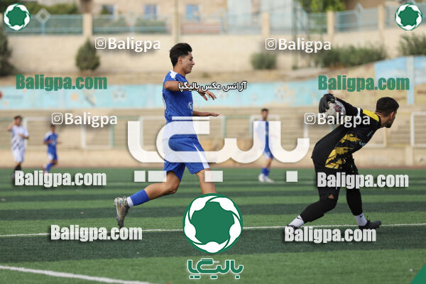 سفیر 1–3 شاهین