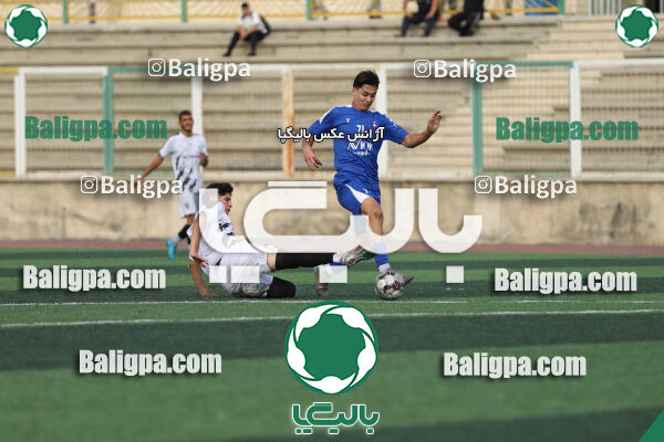 سفیر 1–3 شاهین