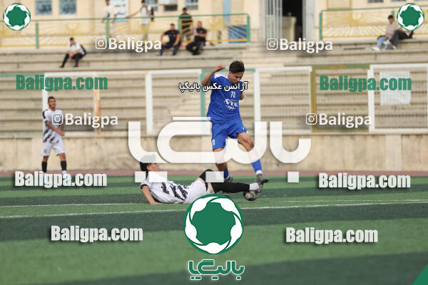 سفیر 1–3 شاهین