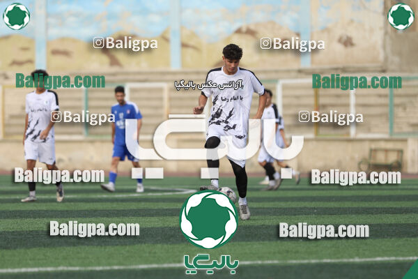 سفیر 1–3 شاهین