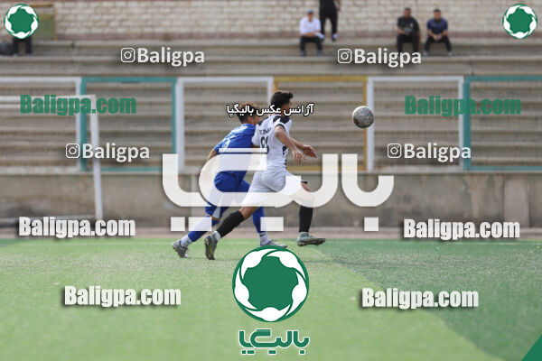 سفیر 1–3 شاهین