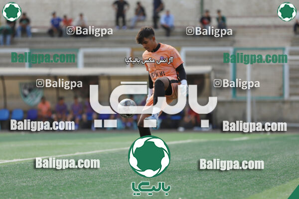 سفیر 1–3 شاهین