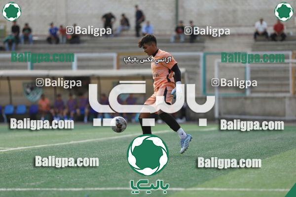 سفیر 1–3 شاهین
