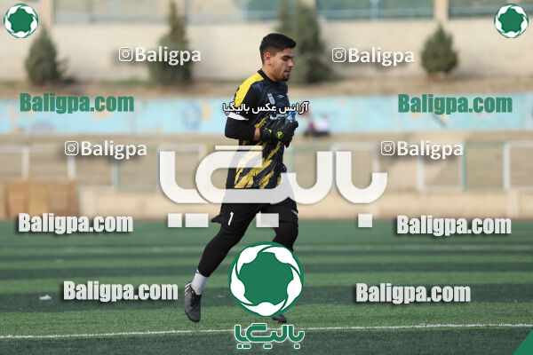 سفیر 1–3 شاهین
