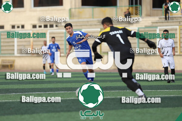 سفیر 1–3 شاهین