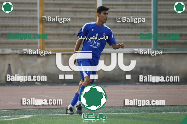 سفیر 1–3 شاهین