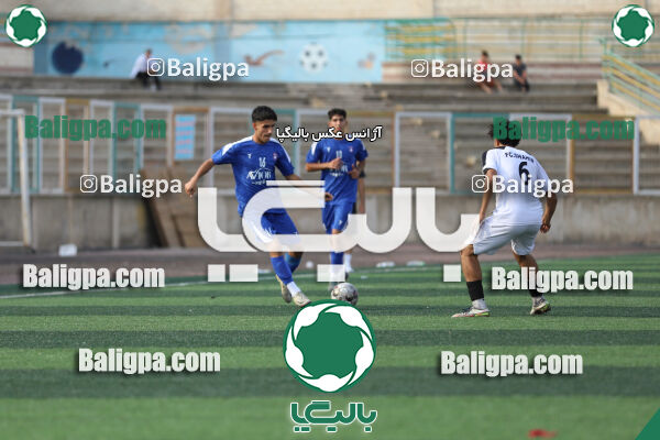 سفیر 1–3 شاهین