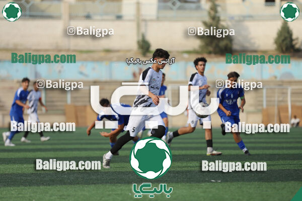 سفیر 1–3 شاهین