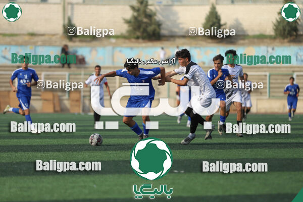 سفیر 1–3 شاهین