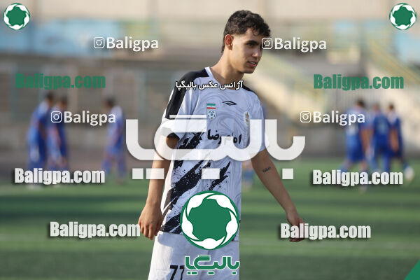 سفیر 1–3 شاهین