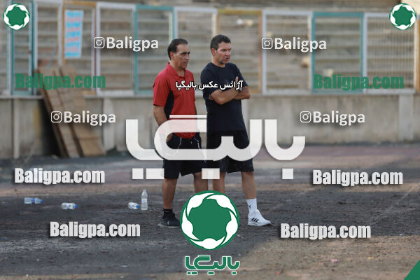 سفیر 1–3 شاهین