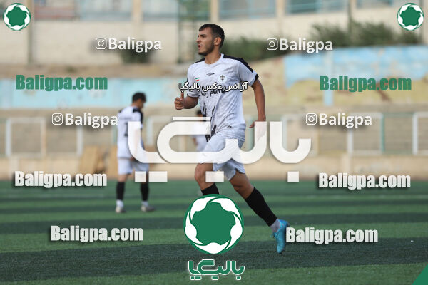 سفیر 1–3 شاهین
