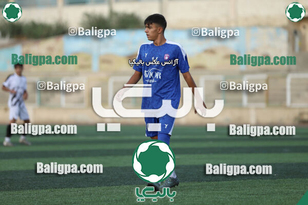 سفیر 1–3 شاهین