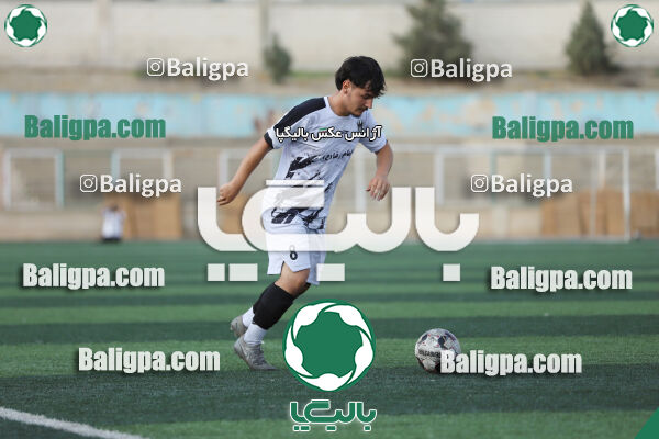 سفیر 1–3 شاهین