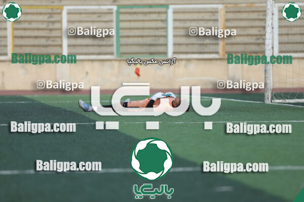 سفیر 1–3 شاهین