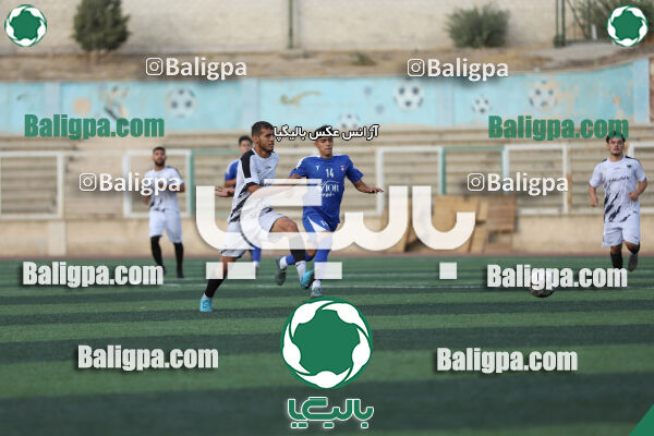 سفیر 1–3 شاهین